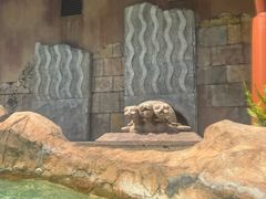 -新加坡水上探险乐园