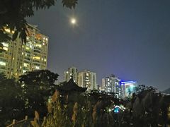 -四海公园(南山区)
