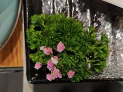 -湊湊火锅·茶憩(皇姑万象汇店)