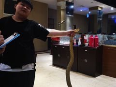 -金龙·打边炉(武进路店)