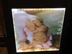 -海曙西区老大房(孝闻街店)