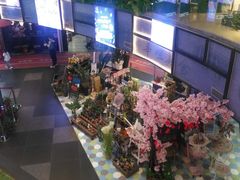 -鹏欣水游城