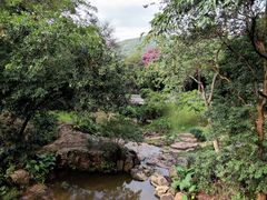 -广州市白云山风景名胜区