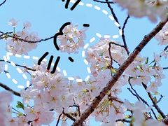 -华东政法大学(松江校区)