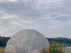 -天目湖涵田度假村