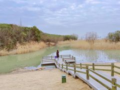 -上海吴淞炮台湾国家湿地公园
