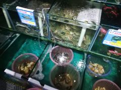 水产区-琼大师东方烤乳猪(亚特兰蒂斯店)