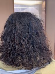 -杜卡诗salon