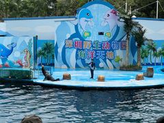 -深圳野生动物园