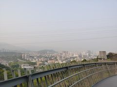 -福道