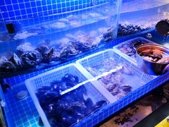 水产区-星伦多自助料理(华润万象城店)