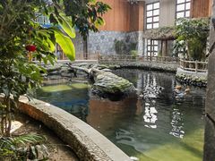 -南宫五洲植物乐园