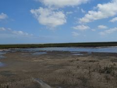 -北海金海湾红树林生态旅游区