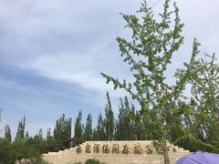 -永定河休闲森林公园