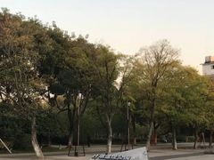 -圩墩遗址公园