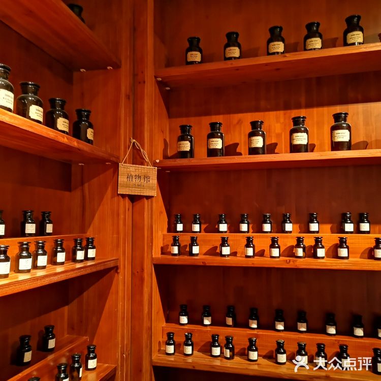 🎋🎋长沙踏青指南 之 超级文和友&茶颜悦色🎋🎋