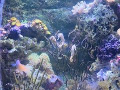 -杭州长乔极地海洋公园