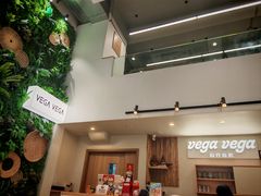 -VEGA VEGA 我行我素