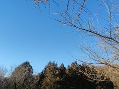 -北京西山国家森林公园