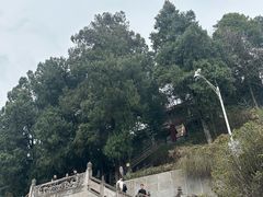 -老君山