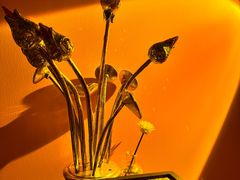 -泰古龙抓龙筋·spa按摩(静安店)