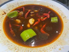 -杨氏青龙虾·羊蝎子(珠江路店)