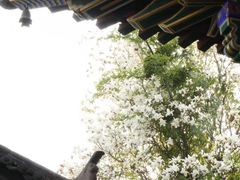 -兴教寺