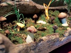 -新荣记(西溪湿地店)