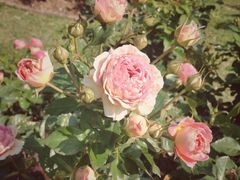 -人民公园(罗湖区)