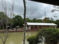 -上海海湾国家森林公园