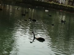 -长白岛森林公园