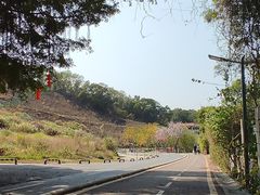 -梧桐山风景名胜区