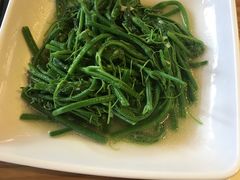 洋丝瓜尖-隔壁老王·家常云南菜(花巷店)