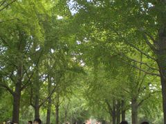 -中国铁道博物馆(正阳门馆)