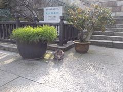 -无锡惠山寺