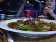 -湖边烧鸭