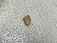 -吉庆桂林米粉·柳州螺蛳粉(港汇广场店)