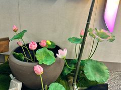 -金茂览秀城