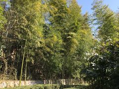 -天目湖涵田半山温泉