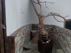 -几荷·恰似故人来(秀水广场店)