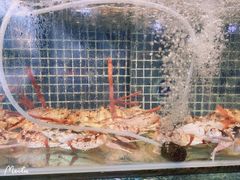 -庆余生平价生猛海鲜(海棠湾林旺夜市店)