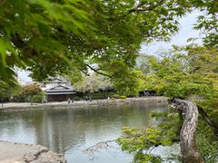 -水前寺成趣园