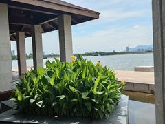 -幸福湖国际会议中心