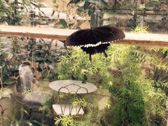 RGF-RGF(巨鹿路店)