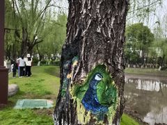-堤角公园