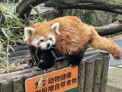 -云南野生动物园