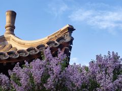 -三里河公园
