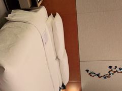 -广州奥园喜来登酒店