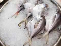 金昌鱼-非烤勿扰韩料自助烤肉(松山湖万科店)