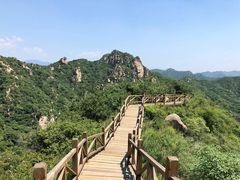 -大岭沟猕猴桃谷风景区